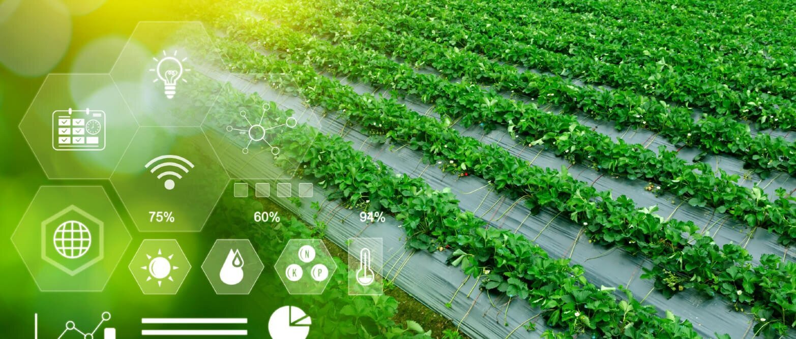 Agriculture moderne