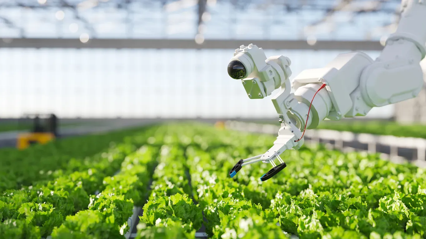Agriculture